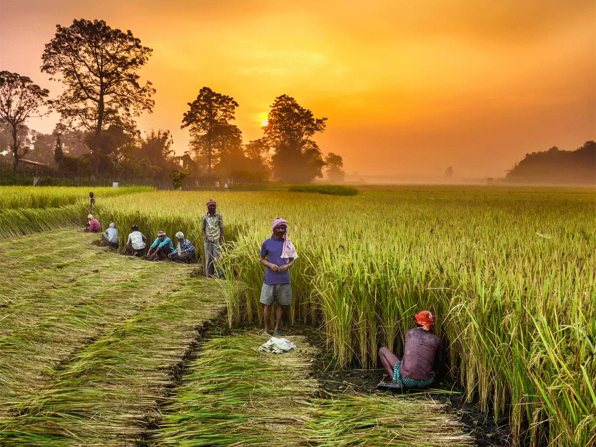 IFFCOSHOP Kisan Sewa Trust